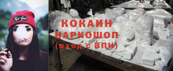 эйфоретик Гусь-Хрустальный
