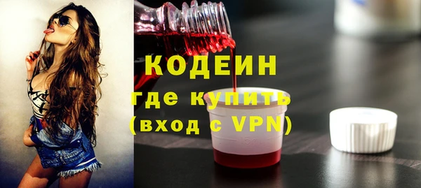 эйфоретик Гусь-Хрустальный