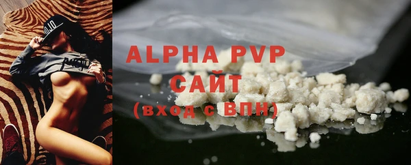 эйфоретик Гусь-Хрустальный