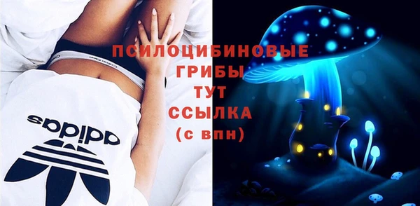 MDMA Гусев