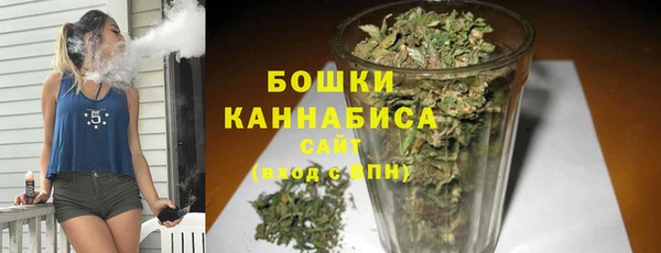 эйфоретик Гусь-Хрустальный
