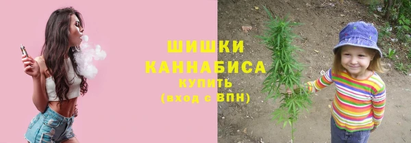 эйфоретик Гусь-Хрустальный