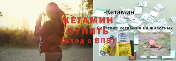 эйфоретик Гусь-Хрустальный
