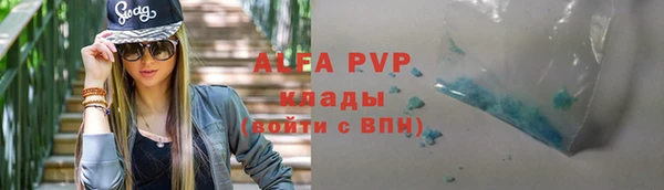 эйфоретик Гусь-Хрустальный