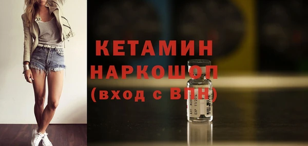 эйфоретик Гусь-Хрустальный