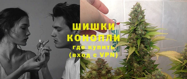 эйфоретик Гусь-Хрустальный
